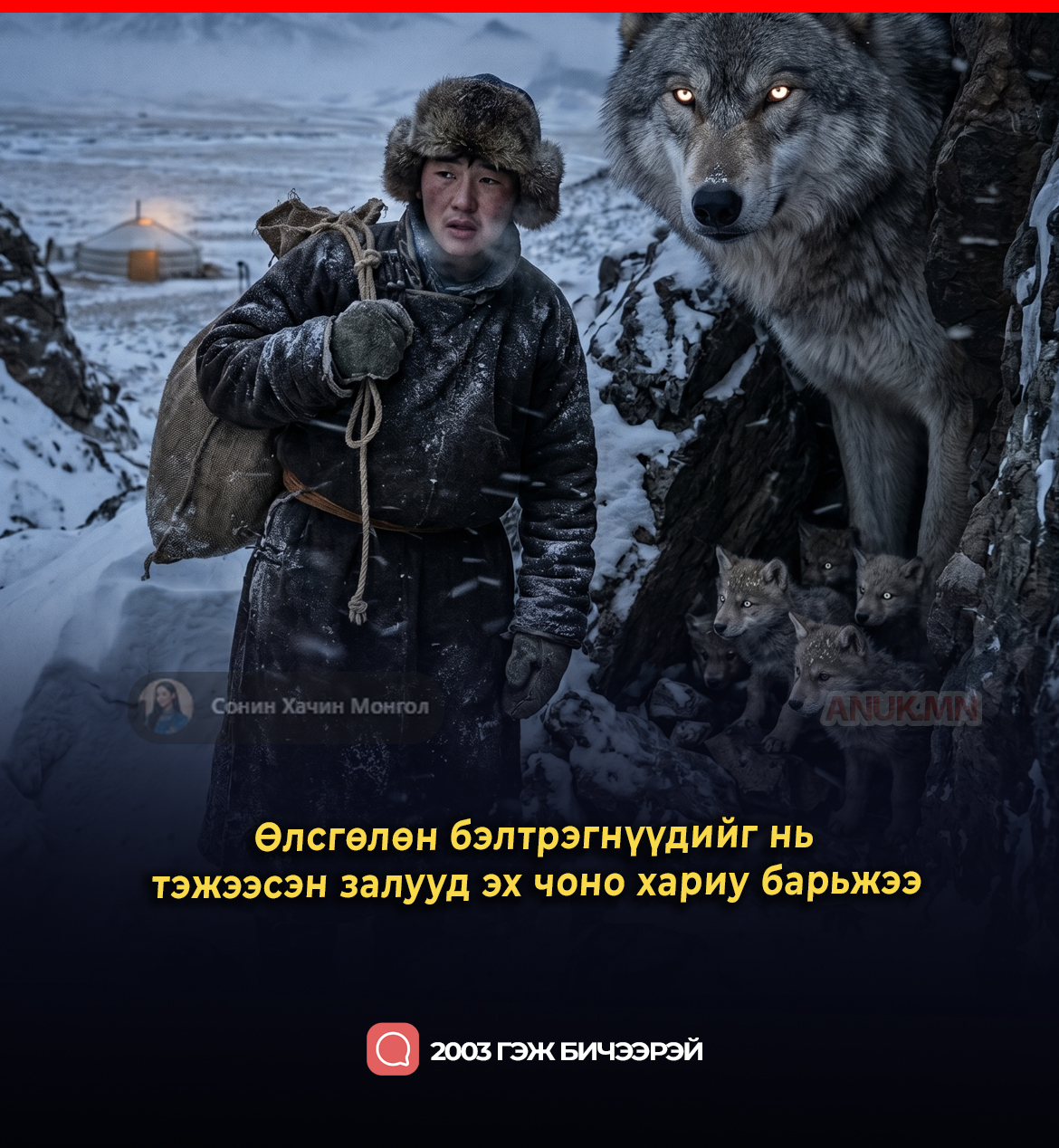 Өлсгөлөн бэлтрэгнүүдийг нь тэжээсэн залууд эх чоно хариу барьжээ